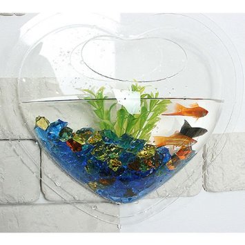 cool fish tanks