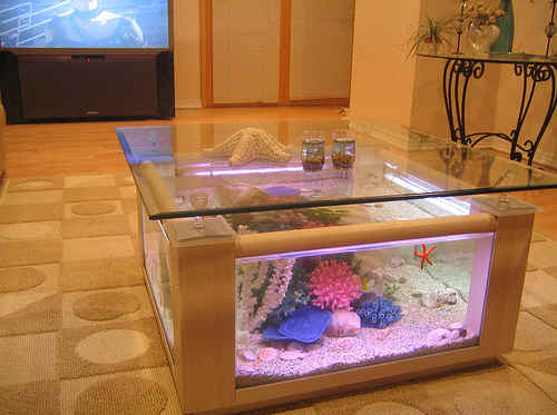 fish tank coffee table