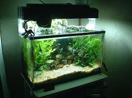 fish tank supplies